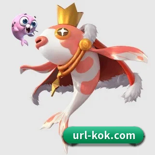 KOK体育 APP